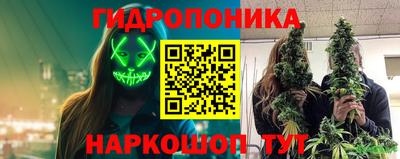 винт Можга