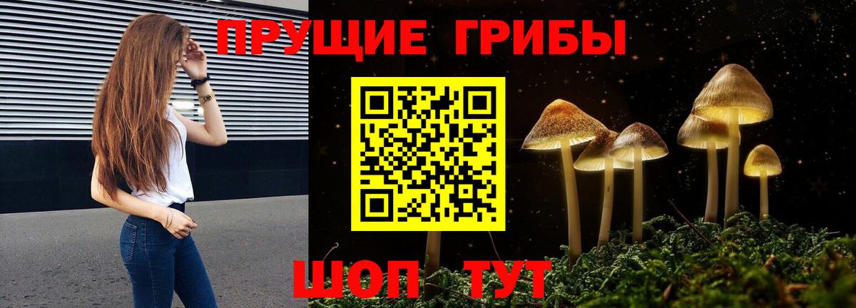 Галлюциногенные грибы Magic Shrooms  Вход с VPN  Тимашёвск 